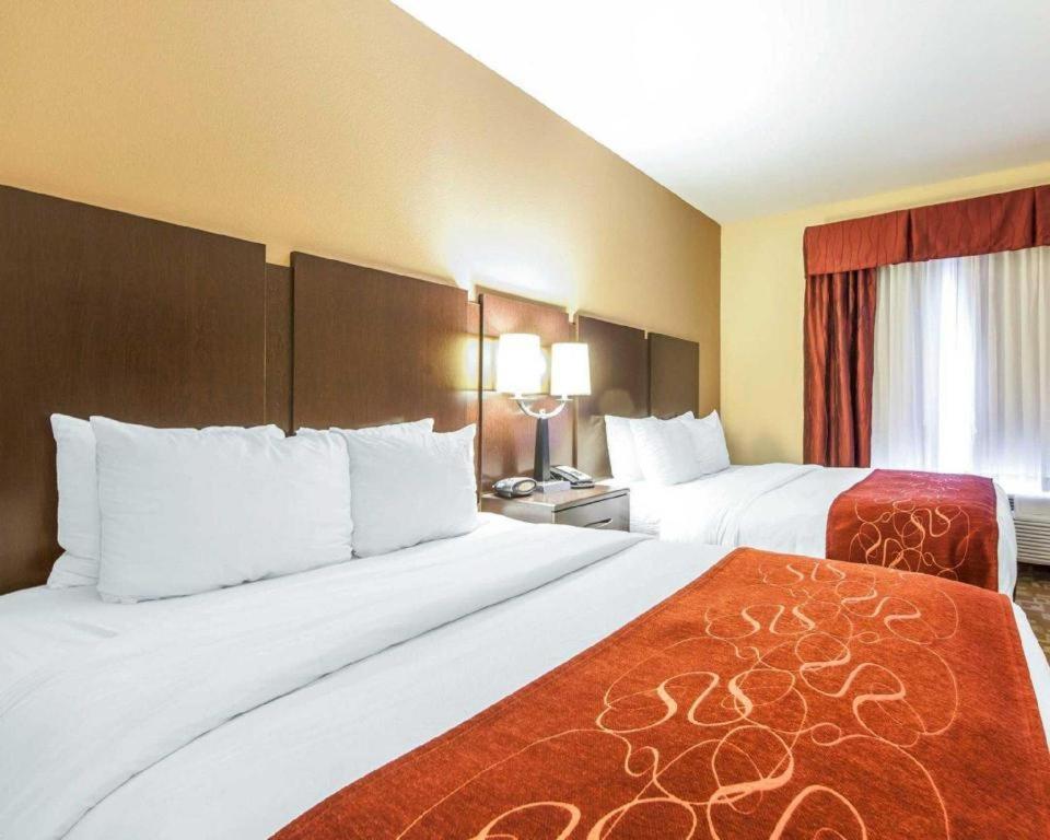 Comfort Rome