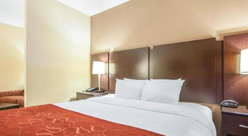 Comfort Rome